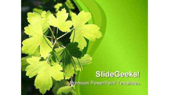 Sunlit Leaves Nature PowerPoint Templates And PowerPoint Backgrounds 0511