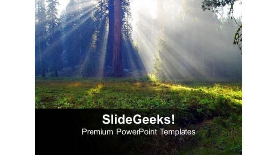 Sunrays On Tree Nature PowerPoint Templates Ppt Backgrounds For Slides 1212 Sunrays On Tree Nature PowerPoint Templates Ppt Backgrounds For Slides 1212