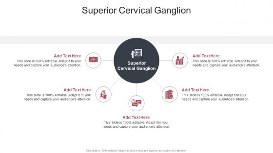 Superior Cervical Ganglion In Powerpoint And Google Slides Cpb