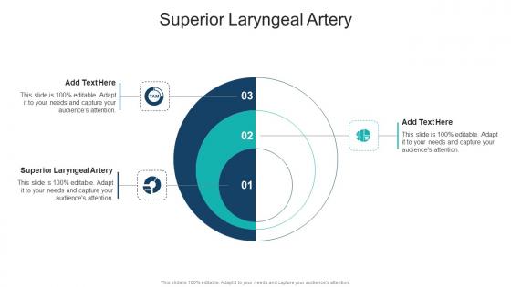 Superior Laryngeal Artery In Powerpoint And Google Slides Cpb