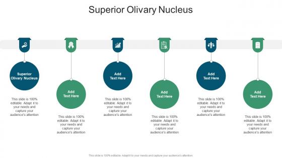 Superior Olivary Nucleus In Powerpoint And Google Slides Cpb