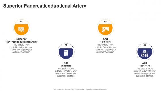 Superior Pancreaticoduodenal Artery In Powerpoint And Google Slides Cpb