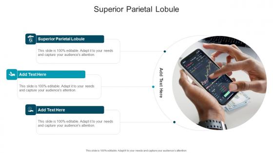 Superior Parietal Lobule In Powerpoint And Google Slides Cpb Superior Parietal Lobule In Powerpoint And Google Slides Cpb
