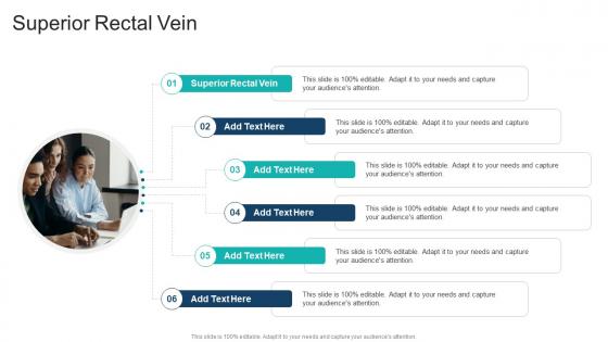 Superior Rectal Vein In Powerpoint And Google Slides Cpb