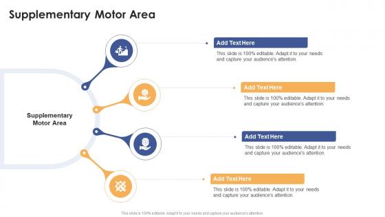 Supplementary Motor Area In Powerpoint And Google Slides Cpb