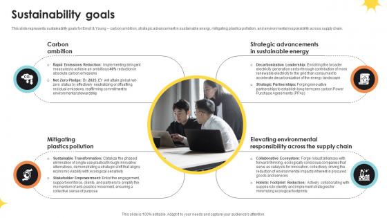 Sustainability Goals Professional Services And Tax Advisory Company Profile CP SS V