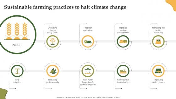 Sustainable Farming Practices To Enhancing Productivity With Adoption PPT Presentation Sustainable Farming Practices To Enhancing Productivity With Adoption PPT Presentation