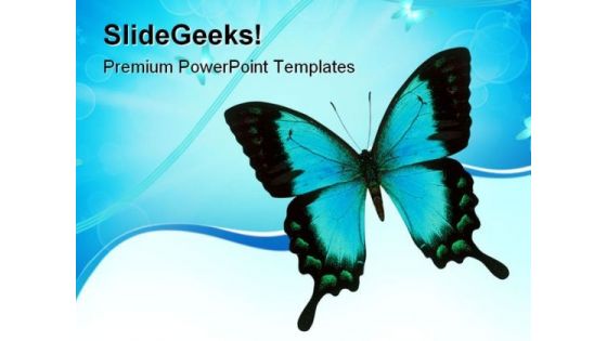 Swallowtail Butterfly Animals PowerPoint Templates And PowerPoint Backgrounds 0811