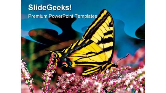 Swallowtail Butterfly Nature PowerPoint Templates And PowerPoint Backgrounds 0511