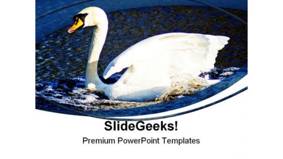 Swan Animals PowerPoint Themes And PowerPoint Slides 0411