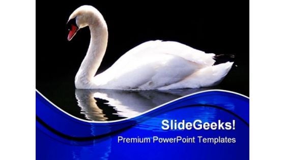Swan Reflected Animals PowerPoint Templates And PowerPoint Backgrounds 0511
