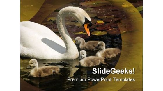 Swan Stroll Animals PowerPoint Themes And PowerPoint Slides 0511