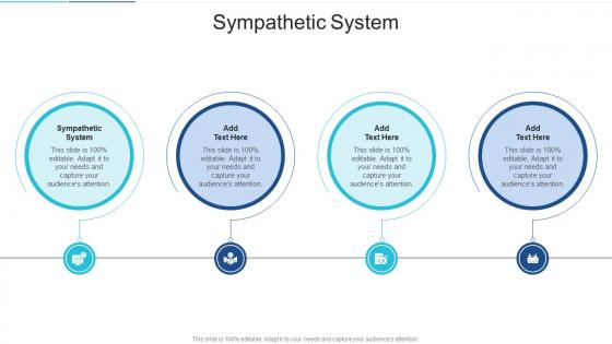 Sympathetic System In Powerpoint And Google Slides Cpb