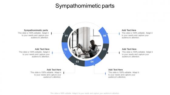 Sympathomimetic parts In Powerpoint And Google Slides Cpb