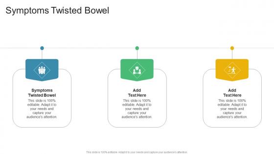 Symptoms Twisted Bowel In Powerpoint And Google Slides Cpb