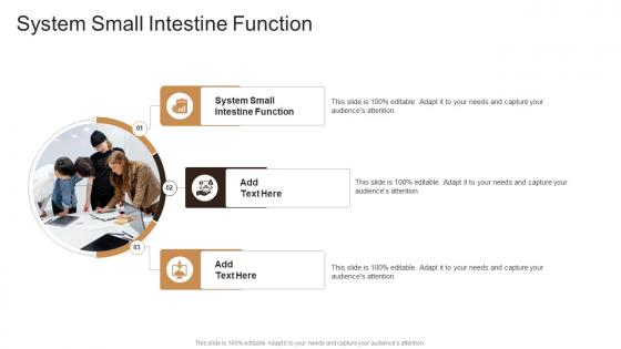 System Small Intestine Function In Powerpoint And Google Slides Cpb