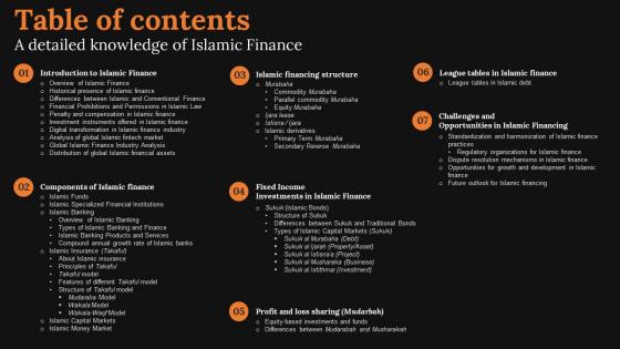 Table Of Contents A Detailed Knowledge Of Islamic Finance Mockup Pdf