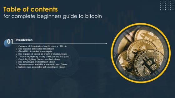 Table Of Contents Complete Beginners Guide To Bitcoin Fin SS V