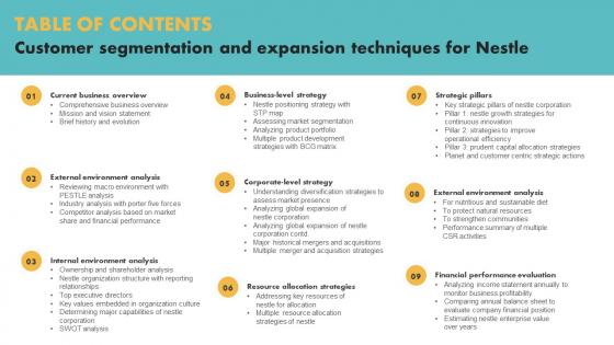 Table Of Contents Customer Segmentation And Expansion Techniques For Nestle Introduction Pdf