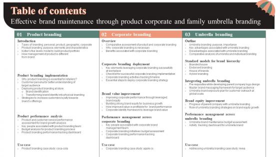 Table Of Contents Effective Brand Maintenance Through Product Corporate And Family Demonstration Pdf