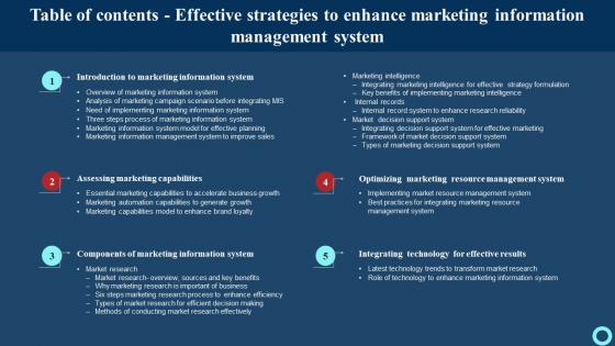 Table Of Contents Effective Strategies To Enhance Marketing Information Management System Pictures Pdf