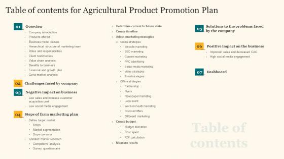 Table Of Contents For Agricultural Product Promotion Plan Professional Pdf