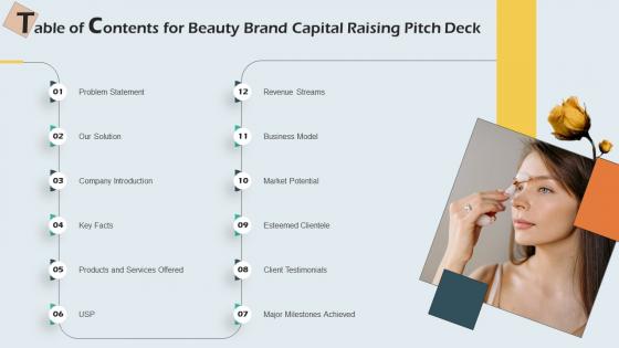 Table Of Contents For Beauty Brand Capital Raising Pitch Deck Background Pdf