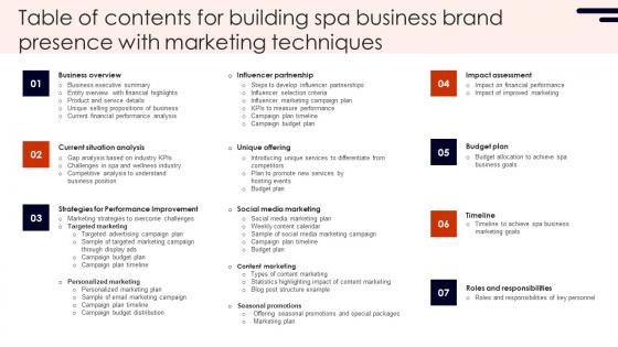 Table Of Contents For Building Spa Business Brand Presence With Marketing Techniques Pictures Pdf