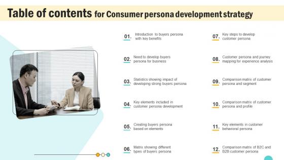Table Of Contents For Consumer Persona Development Strategy Slides Pdf Table Of Contents For Consumer Persona Development Strategy Slides Pdf