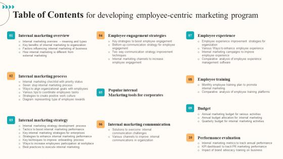 Table Of Contents For Developing Employee Centric Marketing Program Diagrams Pdf