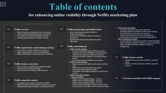 Table Of Contents For Enhancing Online Visibility Through Netflix Marketing Plan Infographics Pdf
