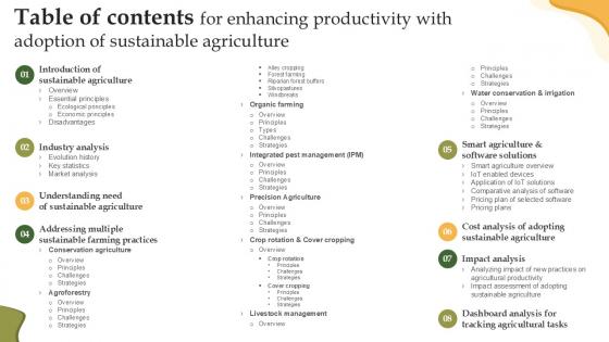 Table Of Contents For Enhancing Productivity With Adoption Of Sustainable PPT Template