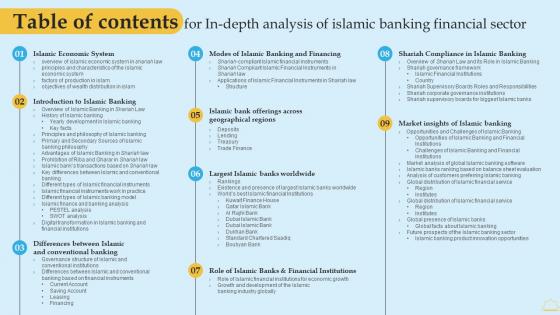 Table Of Contents For In Depth Analysis Of Islamic Banking Financial Sector Formats PDF