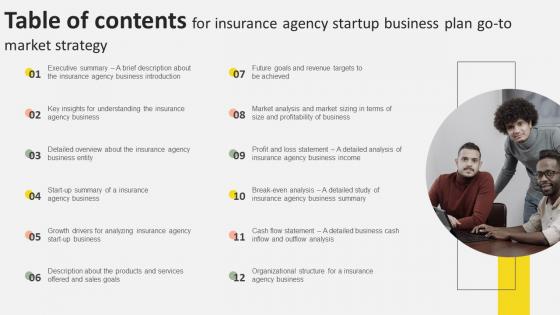 Table Of Contents For Insurance Agency Startup Business Plan Go To Market Strategy Ideas Pdf