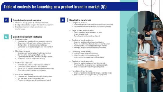 Table Of Contents For Launching New Product Brand In Market Elements Pdf