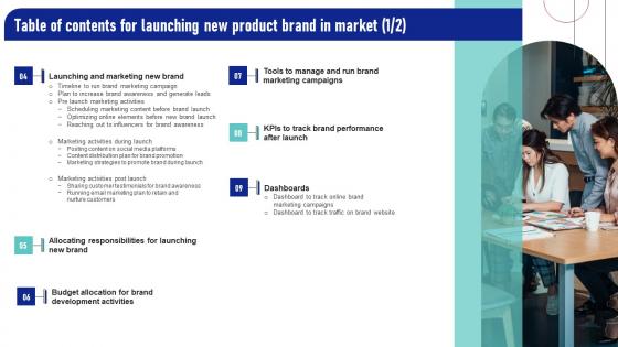 Table Of Contents For Launching New Product Brand In Market Elements Pdf