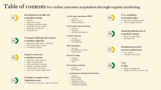 Table Of Contents For Online Customer Acquisition Through Organic Marketing Introduction Pdf