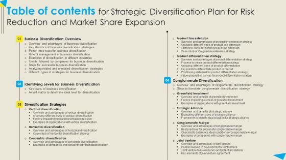 Table Of Contents For Strategic Diversification Plan For Risk Reduction And Market Demonstration PDF