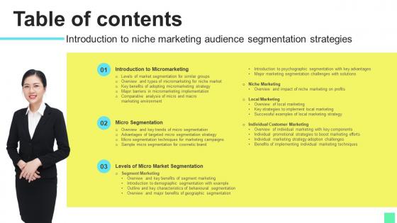 Table Of Contents Introduction To Niche Marketing Audience Segmentation Strategies Diagrams Pdf