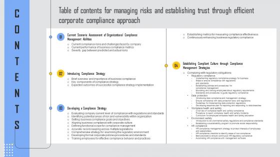 Table Of Contents Managing Risks And Establishing Trust Through Efficient Corporate Sample Pdf