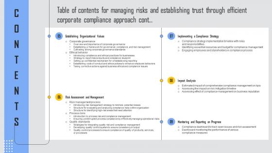 Table Of Contents Managing Risks And Establishing Trust Through Efficient Corporate Sample Pdf