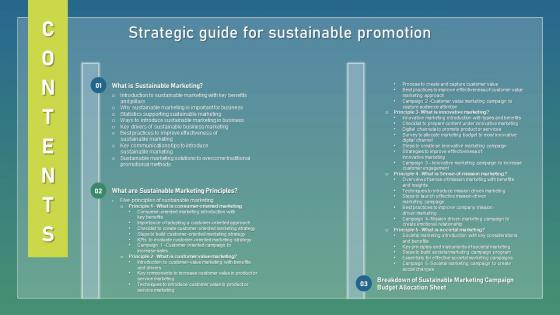 Table Of Contents Strategic Guide For Sustainable Promotion Formats Pdf