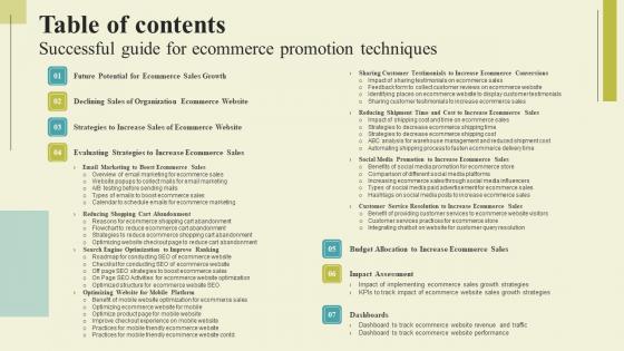 Table Of Contents Successful Guide For Ecommerce Promotion Techniques Designs Pdf