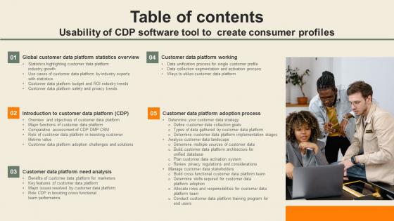 Table Of Contents Usability Of CDP Software Tool To Create Consumer Profiles Download Pdf