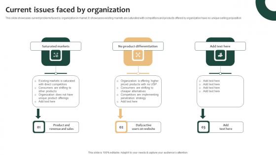 Tailored Product Approach Current Issues Faced By Organization Summary Pdf