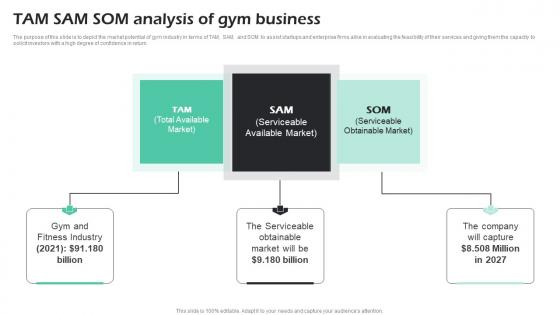 Tam Sam Som Analysis Of Gym Business Fitness Center Business Plan Introduction Pdf