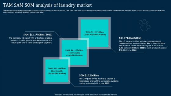 Tam Sam Som Analysis Of Laundry Market Laundromat Business Plan Go To Market Portrait Pdf