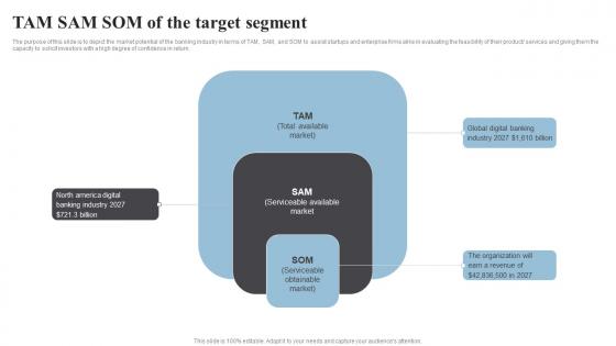 Tam Sam Som Of The Target Segment Banking Start Up B Plan Go To Market Strategy Demonstration Pdf