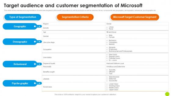 Target Audience And Customer Segmentation Of Microsoft Long Term Business Slides PDF