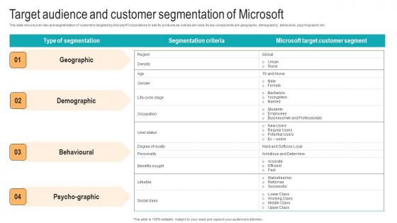 Target Audience And Customer Segmentation Strategic Advancements By Microsofts Brochure Pdf Target Audience And Customer Segmentation Strategic Advancements By Microsofts Brochure Pdf